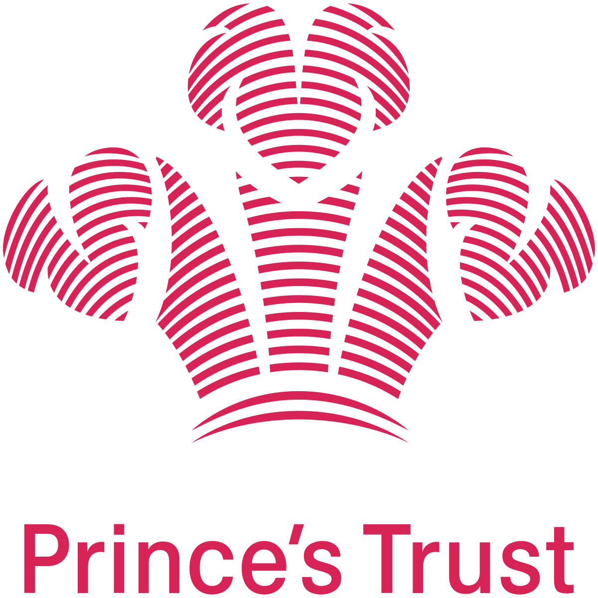 The_Princes_Trust.svg